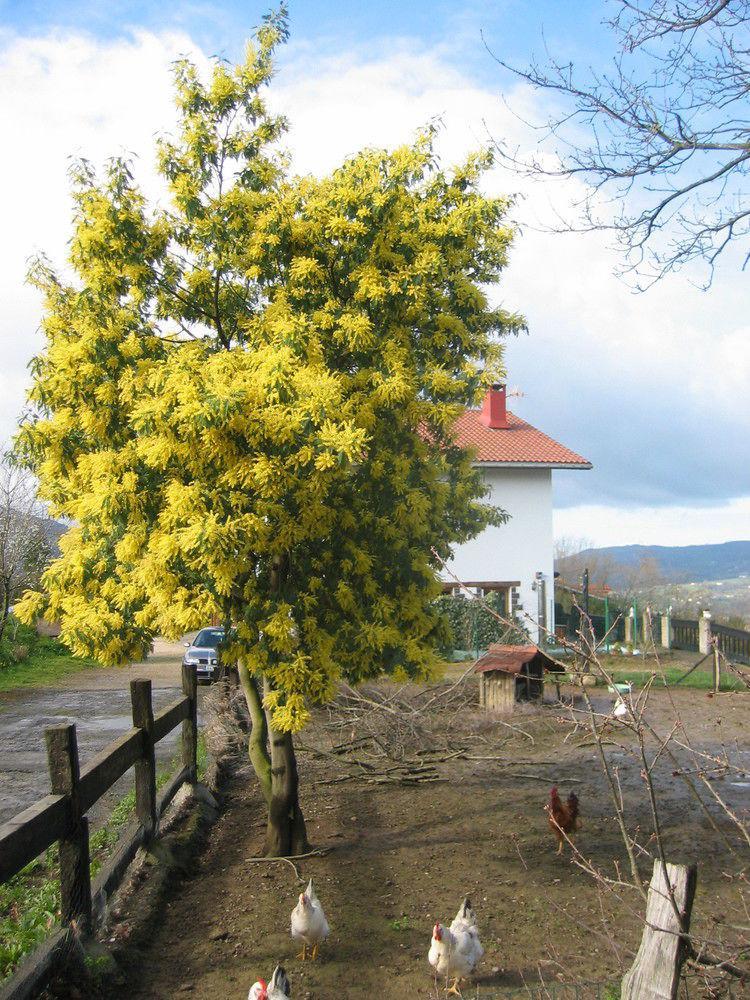 Agroturismo Kostegi Urnieta Exterior foto
